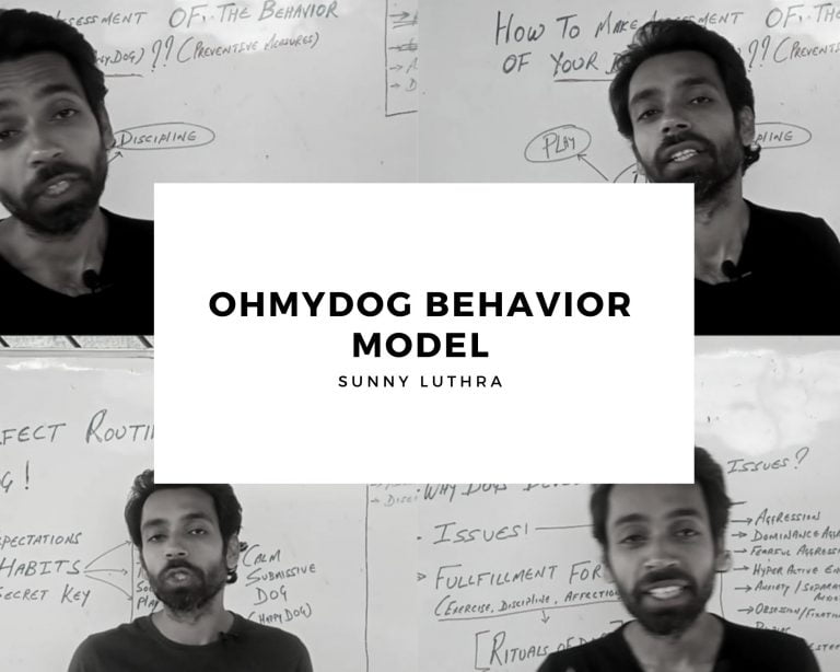 OhMyDog Behavior Model
