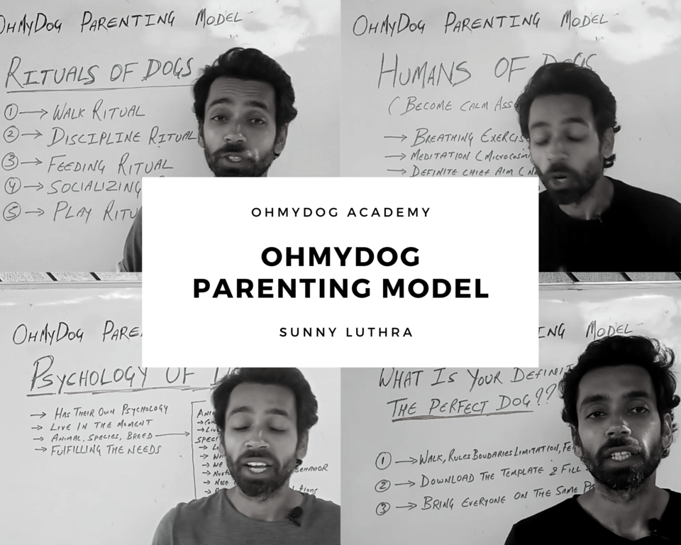 OhMyDog Parenting Model