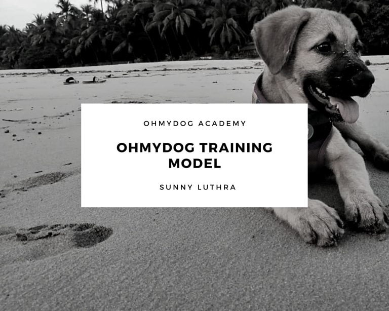 OhMyDog Puppy Training Model