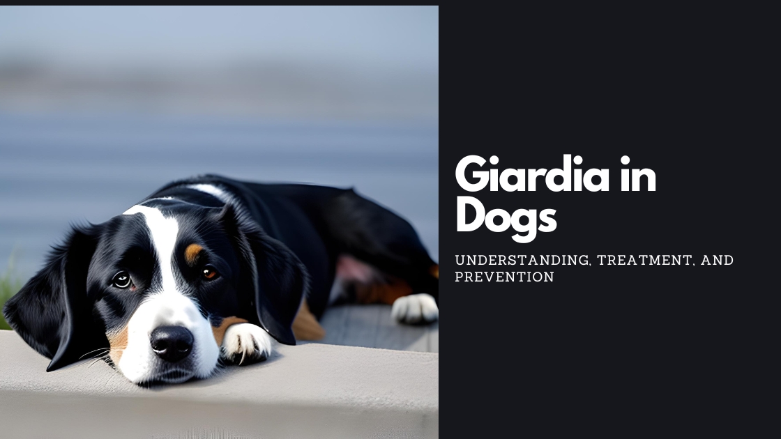 Giardia in Dogs Understanding Treatment and Prevention OhMyDog.Rocks